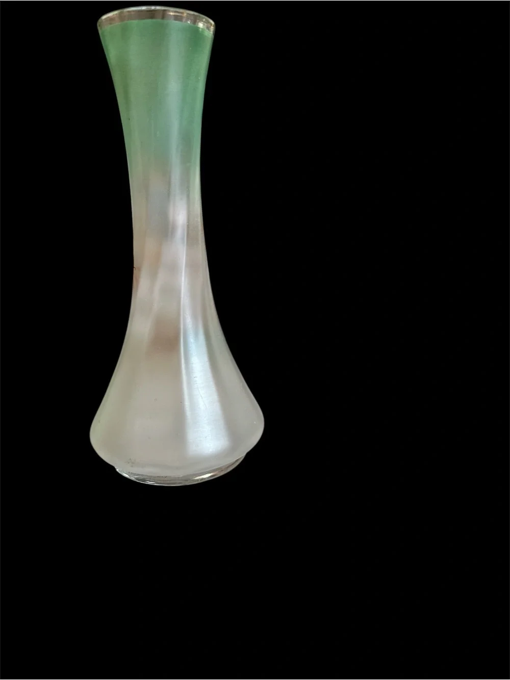 Hand-Painted Enamel & Gilt Accent victorian Budvase